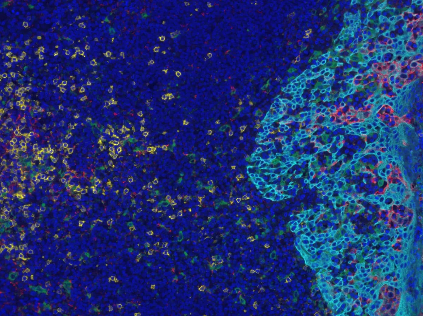 Amogen scientist working in recombinant biosimilar research laboratory