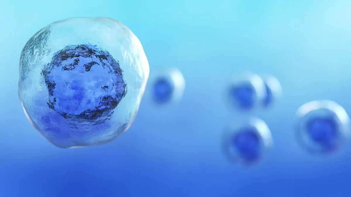 Recombinant peptide biosimilar molecule — S. cerevisiae expression